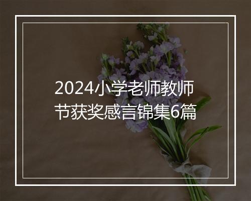 2024小学老师教师节获奖感言锦集6篇