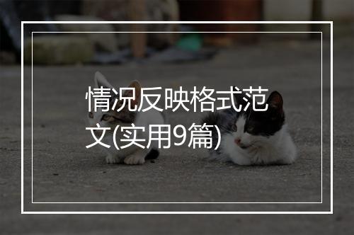 情况反映格式范文(实用9篇)