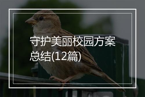 守护美丽校园方案总结(12篇)