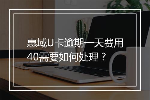 惠域U卡逾期一天费用40需要如何处理？