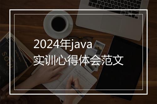 2024年java实训心得体会范文