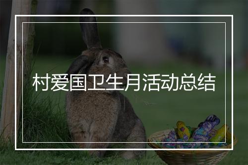村爱国卫生月活动总结