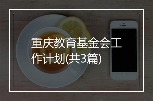 重庆教育基金会工作计划(共3篇)