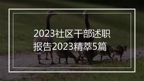 2023社区干部述职报告2023精萃5篇