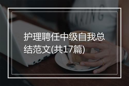 护理聘任中级自我总结范文(共17篇)