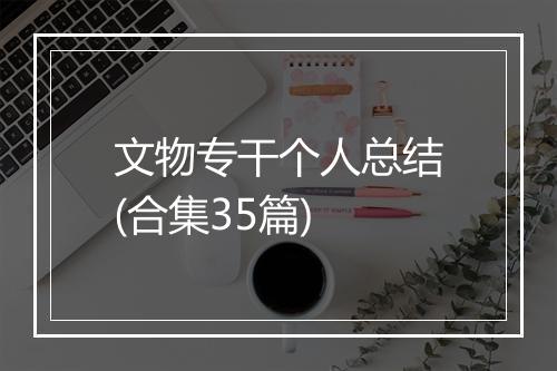 文物专干个人总结(合集35篇)