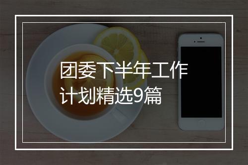 团委下半年工作计划精选9篇