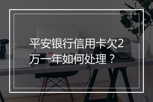 平安银行信用卡欠2万一年如何处理？