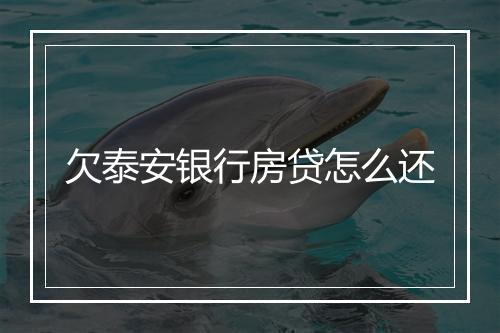 欠泰安银行房贷怎么还