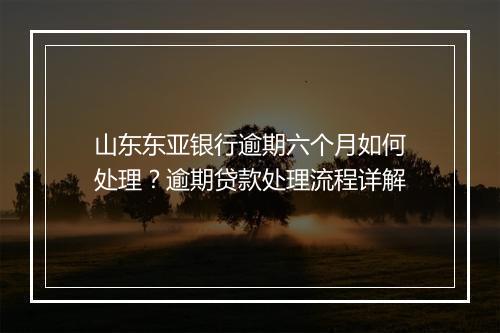 山东东亚银行逾期六个月如何处理？逾期贷款处理流程详解