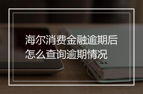 海尔消费金融逾期后怎么查询逾期情况