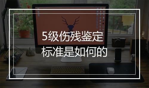 5级伤残鉴定标准是如何的