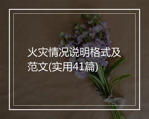 火灾情况说明格式及范文(实用41篇)