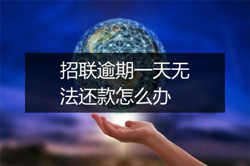 招联逾期一天无法还款怎么办