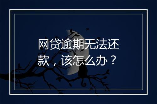 网贷逾期无法还款，该怎么办？