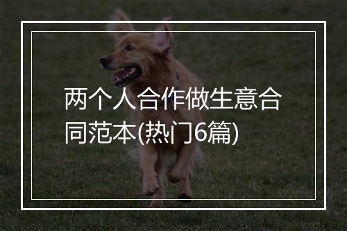两个人合作做生意合同范本(热门6篇)