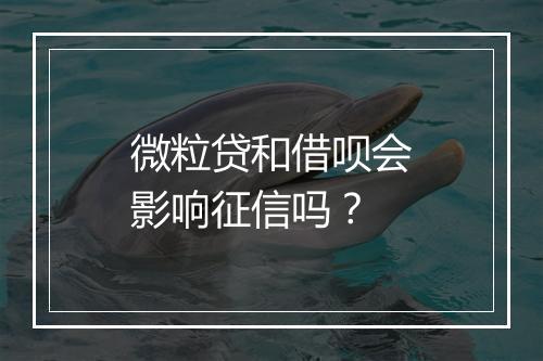 微粒贷和借呗会影响征信吗？