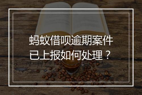 蚂蚁借呗逾期案件已上报如何处理？