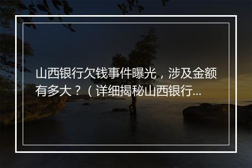 山西银行欠钱事件曝光，涉及金额有多大？（详细揭秘山西银行欠款事件）