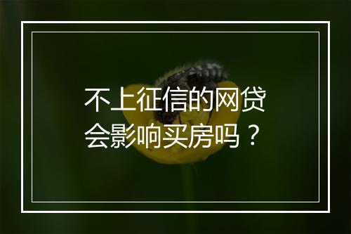 不上征信的网贷会影响买房吗？