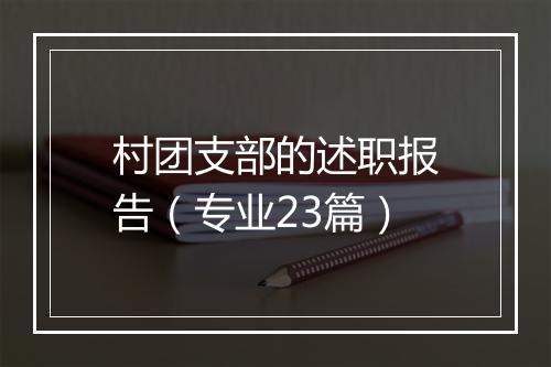 村团支部的述职报告（专业23篇）