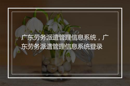 广东劳务派遣管理信息系统，广东劳务派遣管理信息系统登录