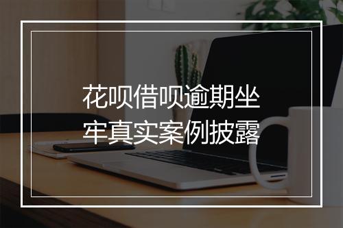 花呗借呗逾期坐牢真实案例披露
