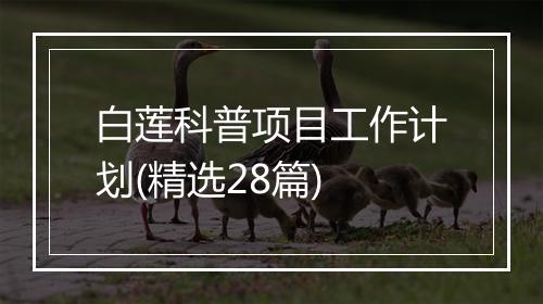 白莲科普项目工作计划(精选28篇)