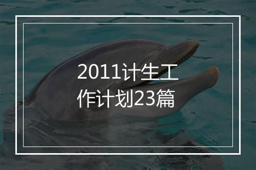 2011计生工作计划23篇