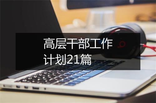 高层干部工作计划21篇