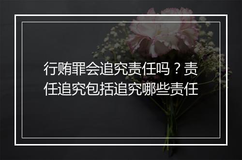 行贿罪会追究责任吗？责任追究包括追究哪些责任