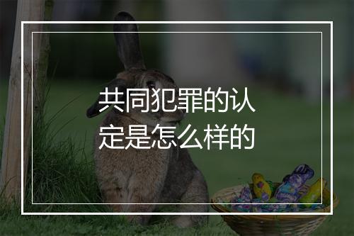 共同犯罪的认定是怎么样的