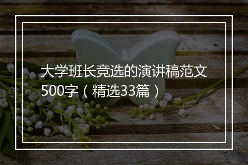 大学班长竞选的演讲稿范文500字（精选33篇）