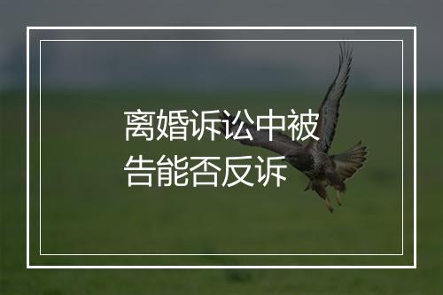离婚诉讼中被告能否反诉