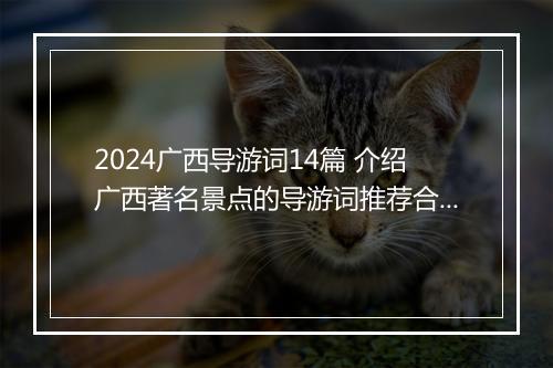 2024广西导游词14篇 介绍广西著名景点的导游词推荐合集6篇