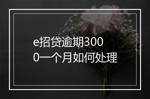 e招贷逾期3000一个月如何处理