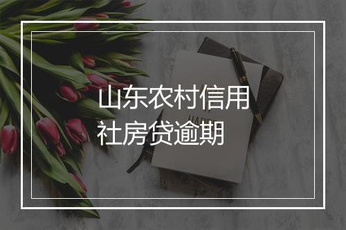 山东农村信用社房贷逾期