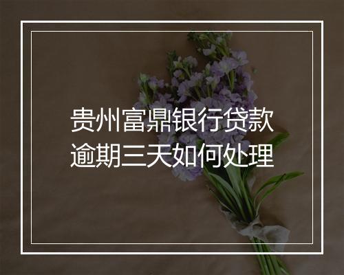 贵州富鼎银行贷款逾期三天如何处理