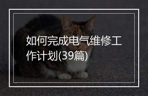 如何完成电气维修工作计划(39篇)