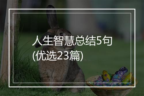 人生智慧总结5句(优选23篇)