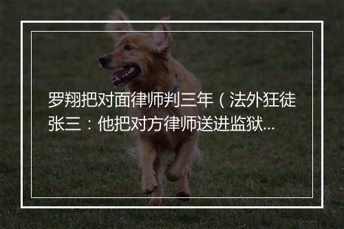 罗翔把对面律师判三年（法外狂徒张三：他把对方律师送进监狱）