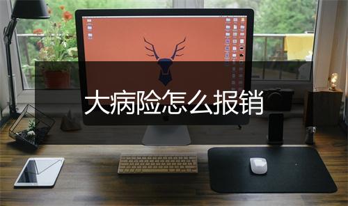 大病险怎么报销