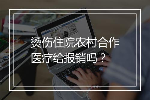 烫伤住院农村合作医疗给报销吗？