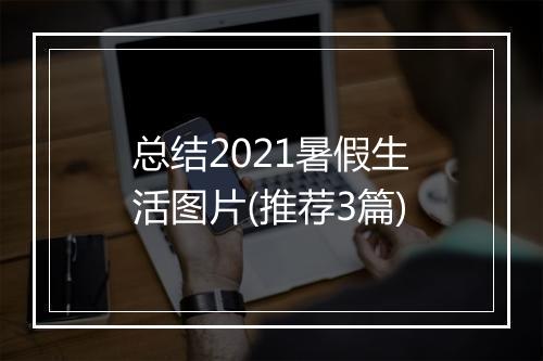 总结2021暑假生活图片(推荐3篇)