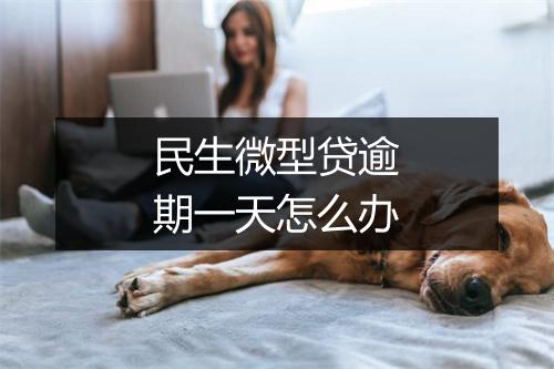 民生微型贷逾期一天怎么办