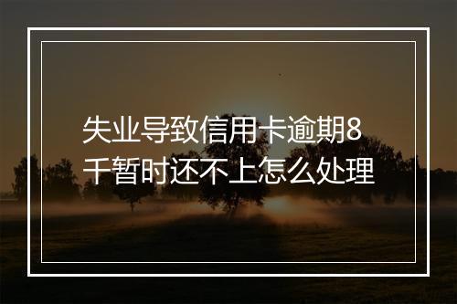 失业导致信用卡逾期8千暂时还不上怎么处理