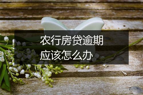 农行房贷逾期应该怎么办