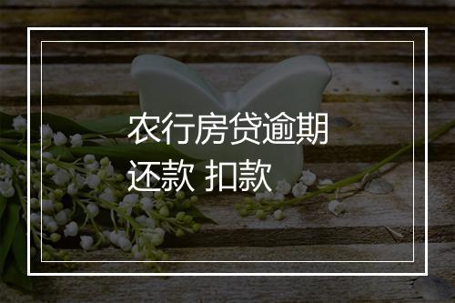 农行房贷逾期还款 扣款