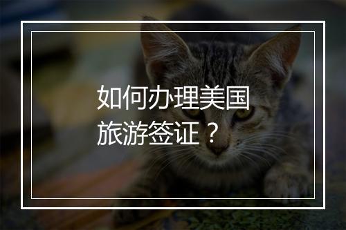 如何办理美国旅游签证？
