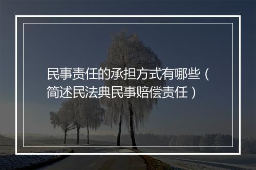 民事责任的承担方式有哪些（简述民法典民事赔偿责任）